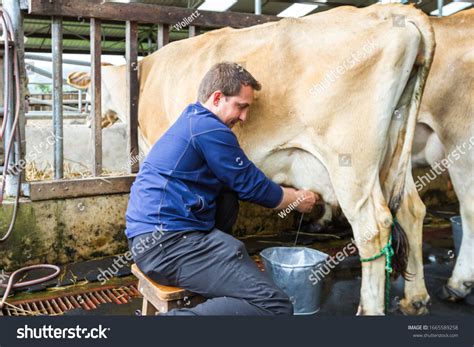 milking man